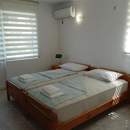 Daris-aphrodeya дарис-афродея Sozopol