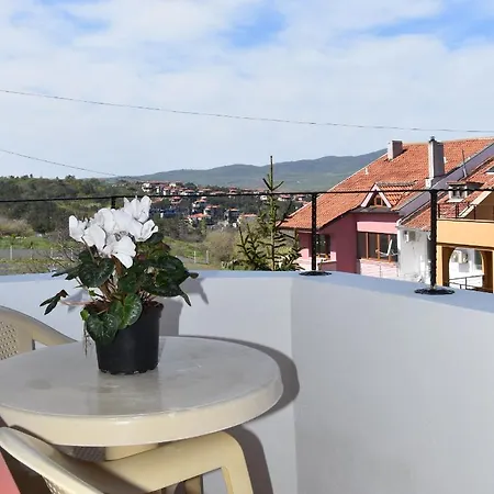 Daris-aphrodeya дарис-афродея Sozopol